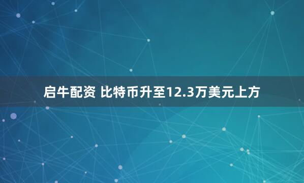 启牛配资 比特币升至12.3万美元上方